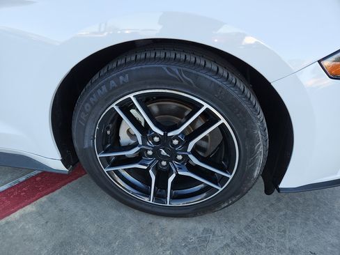 Used 2023 Ford Mustang Premium image 9