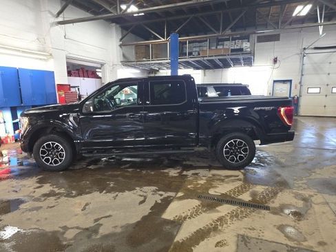 Used 2023 Ford F150 XLT w/ Equipment Group 302A High image 8