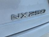 Certified 2022 Lexus NX 250 FWD w/ Premium Package image 5