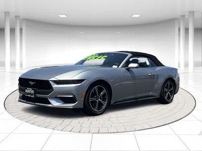 Used 2025 Ford Mustang Premium