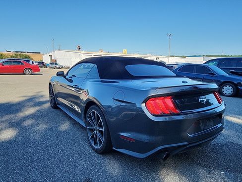 Used 2019 Ford Mustang Premium w/ Equipment Group 201A RWD image 3