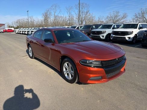 Used 2020 Dodge Charger SXT w/ Blacktop Package RWD image 4