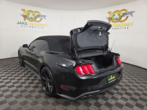 Used 2019 Ford Mustang GT Premium w/ Equipment Group 401A image 33