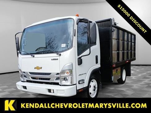 New 2025 Chevrolet Low Cab Forward RWD image 1
