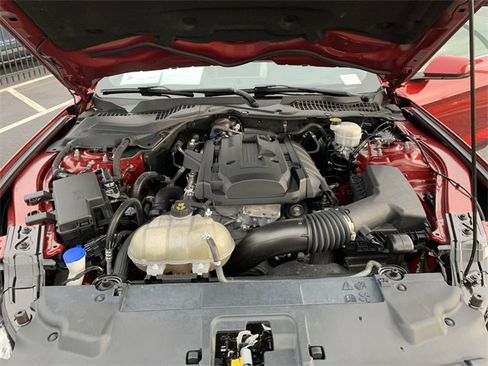 Used 2020 Ford Mustang Premium w/ Pony Package image 14