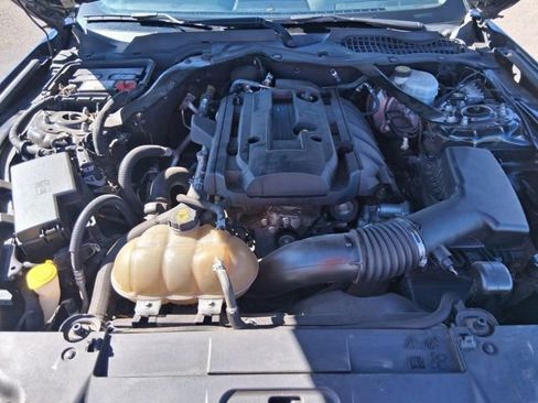 Used 2018 Ford Mustang Premium image 13