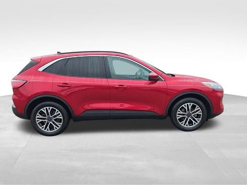 Certified 2020 Ford Escape SEL image 4