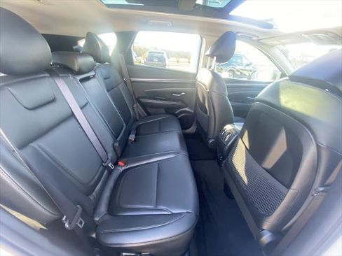 New 2024 Hyundai Tucson Limited image 14