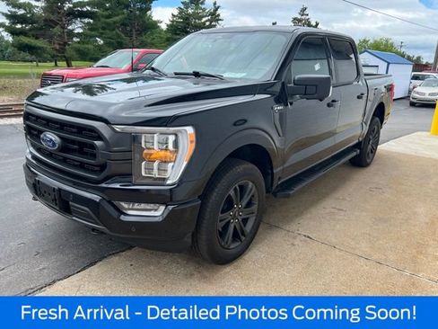 Used 2023 Ford F150 XLT w/ Equipment Group 302A High AWD/4WD image 13