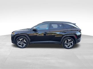 Used 2023 Hyundai Tucson Limited AWD/4WD video 2