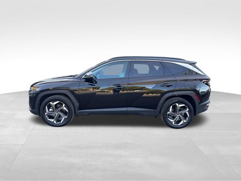Used 2023 Hyundai Tucson Limited AWD/4WD image 2