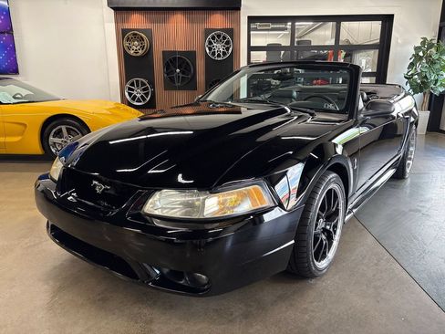 Used 1999 Ford Mustang Cobra RWD image 2