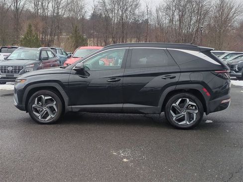 Certified 2024 Hyundai Tucson Limited image 6