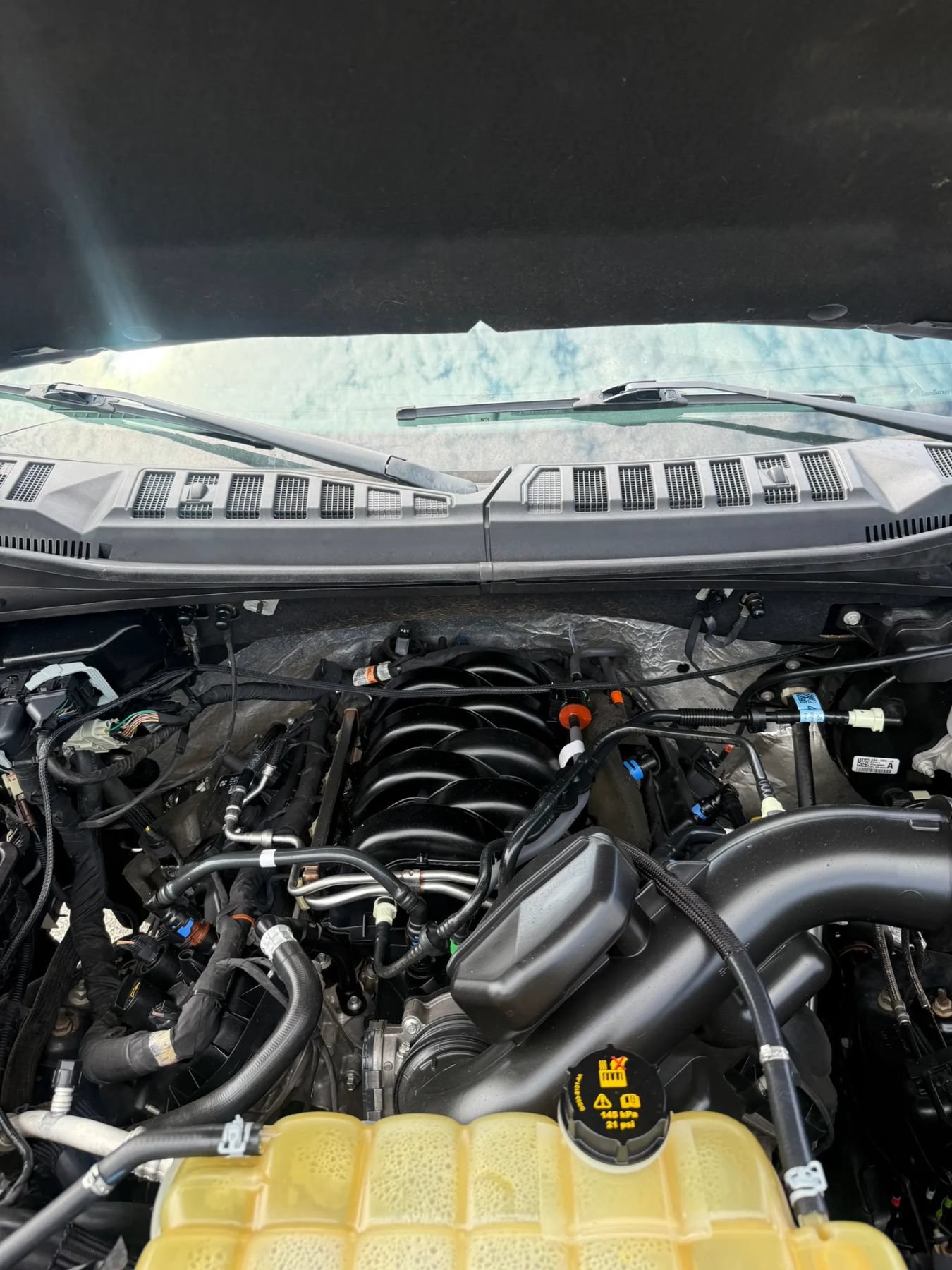 Used 2019 Ford F150 XLT w/ Equipment Group 302A Luxury AWD/4WD image 10