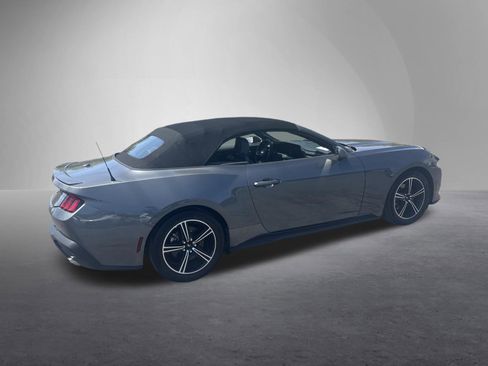 Used 2025 Ford Mustang Premium RWD image 5