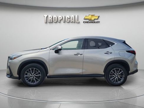 Used 2023 Lexus NX 350 AWD image 2