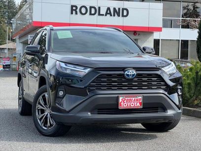 Certified 2024 Toyota RAV4 XLE Premium w/ Weather Package
