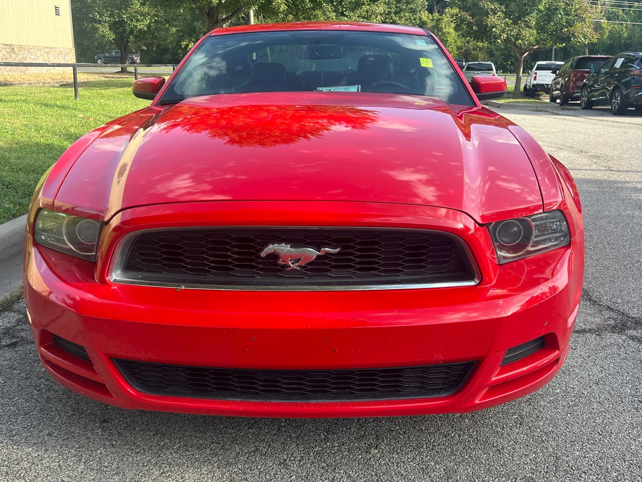 Used 2014 Ford Mustang Premium w/ Equipment Group 201A RWD image 2
