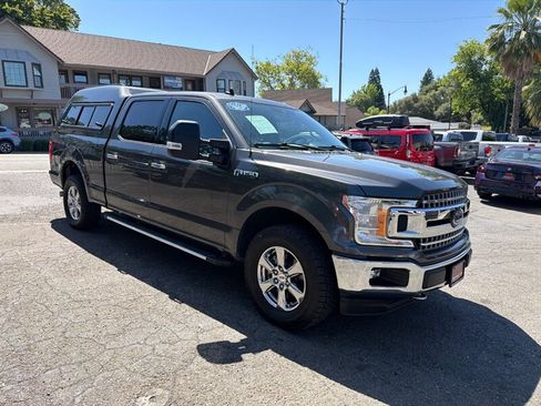Used 2019 Ford F150 XLT w/ Equipment Group 302A Luxury AWD/4WD image 5