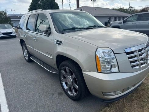Used 2014 Cadillac Escalade Luxury image 3