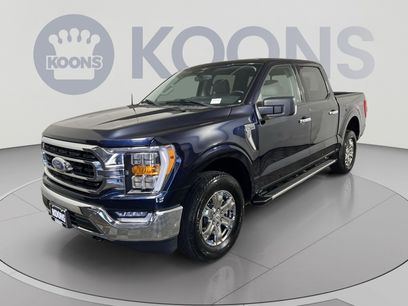 Used 2023 Ford F150 XLT w/ Equipment Group 302A High
