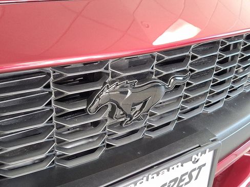 Certified 2025 Ford Mustang Premium w/ Mustang Nite Pony Package image 29