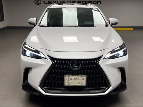 Certified 2026 Lexus NX 350h AWD w/ Cold Area Package image 2