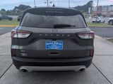 Used 2021 Ford Escape SE w/ Cold Weather Package image 6