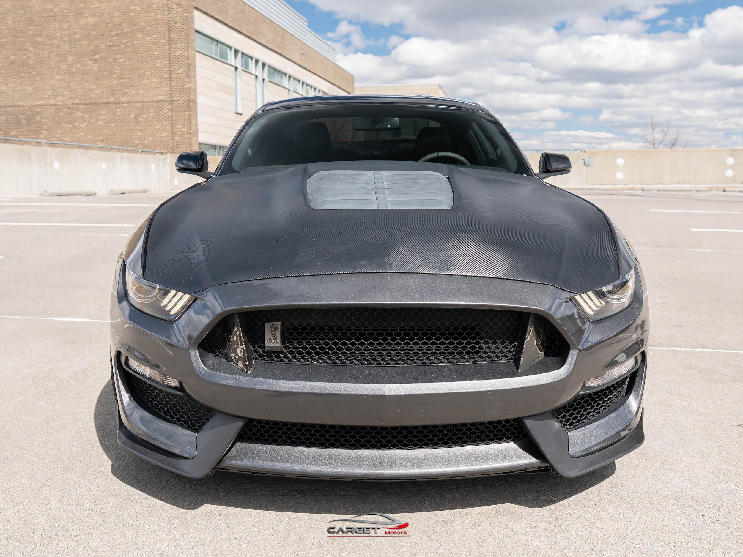 Used 2016 Ford Mustang Shelby GT350 w/ Technology Package RWD image 2