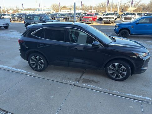 Used 2024 Ford Escape Platinum image 4