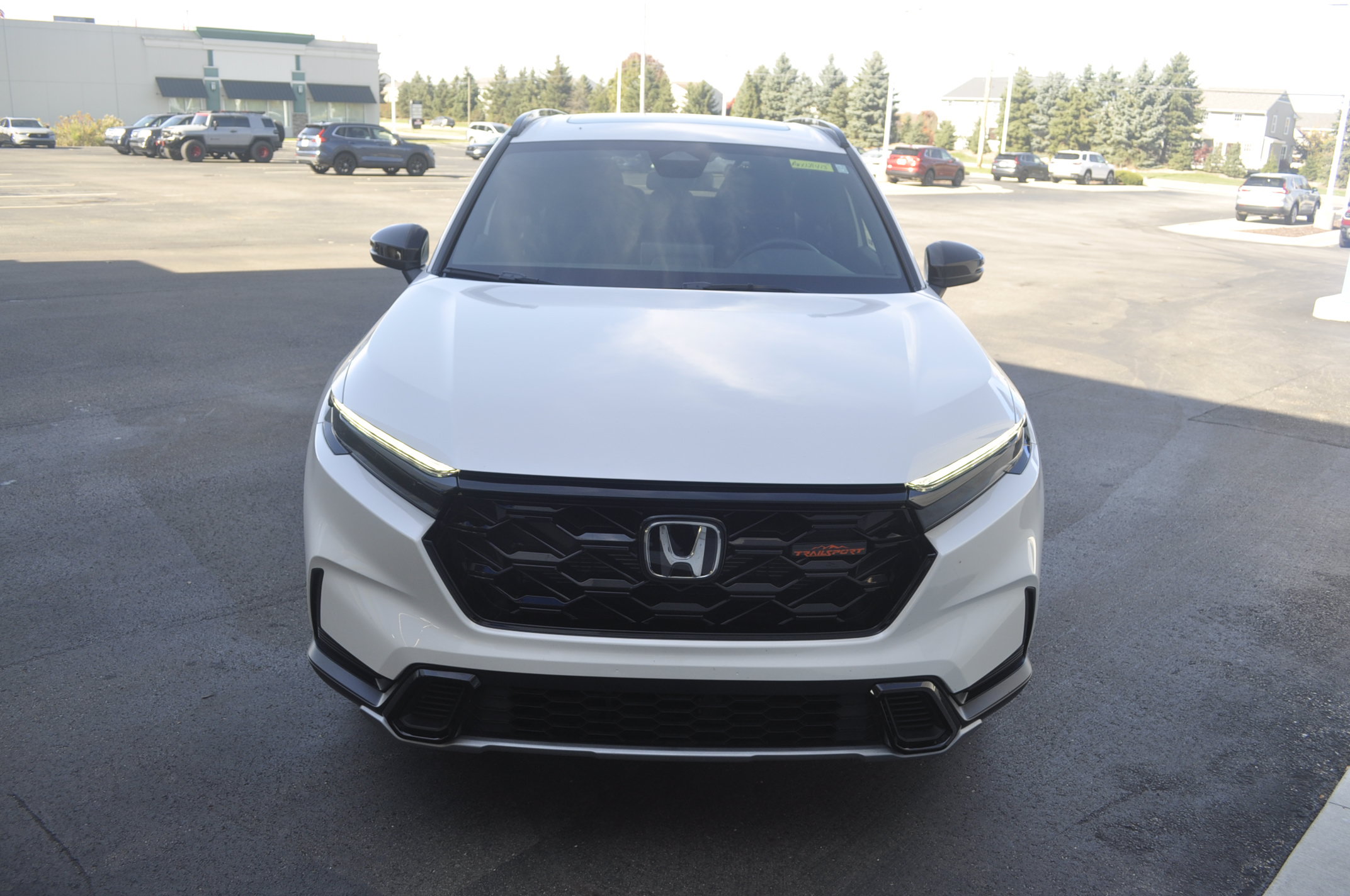 Used 2026 Honda CR-V TrailSport image 2
