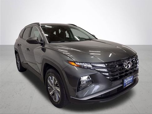 Certified 2024 Hyundai Tucson Blue image 5