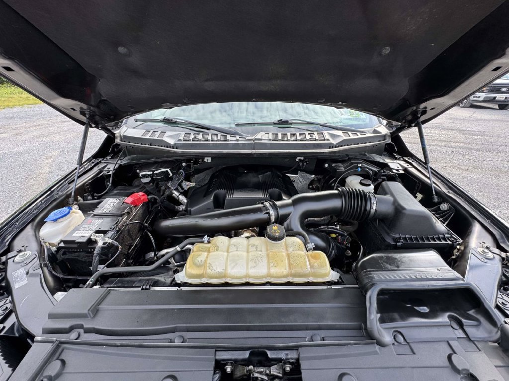 Used 2019 Ford F150 XLT w/ Equipment Group 302A Luxury AWD/4WD image 12