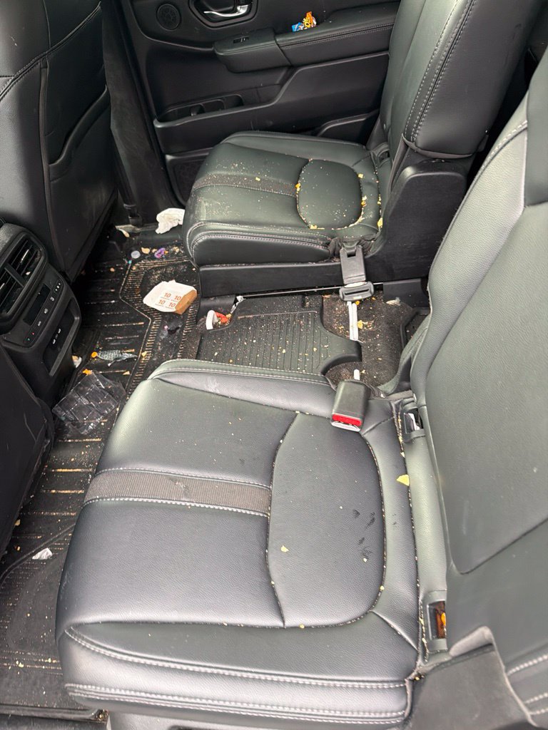 Used 2024 Honda Pilot EX-L image 8