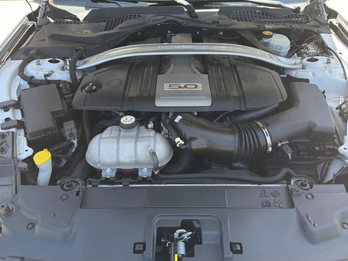 Used 2019 Ford Mustang GT w/ GT Performance Package RWD image 41