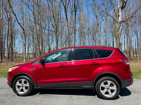 Used 2014 Ford Escape SE w/ Equipment Group 201A image 2