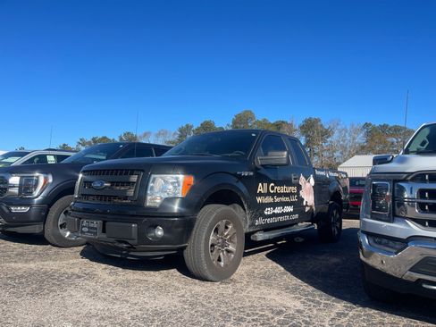 Used 2013 Ford F150 STX w/ Mid Equipment Group image 2