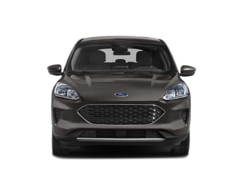 Used 2020 Ford Escape SE AWD/4WD image 7