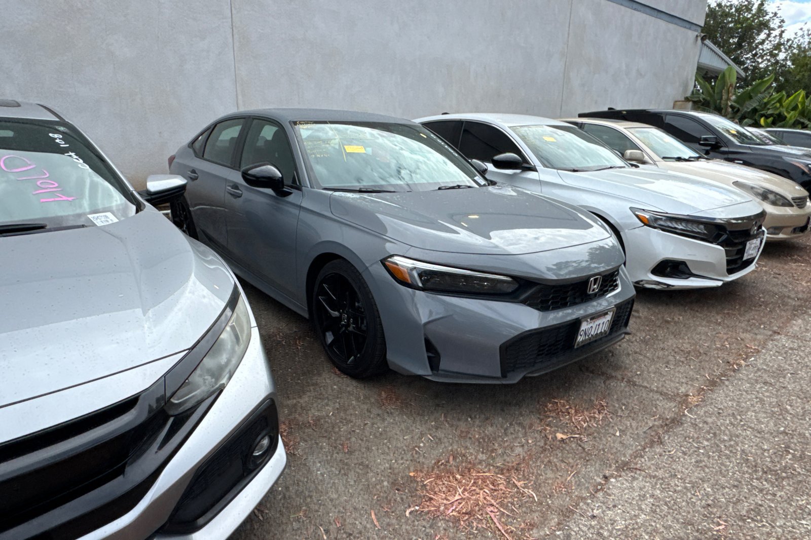 Used 2025 Honda Civic Sport image 2
