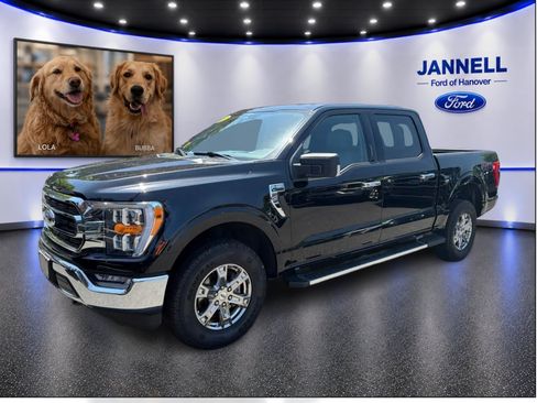 Used 2023 Ford F150 XLT w/ Equipment Group 302A High AWD/4WD image 1