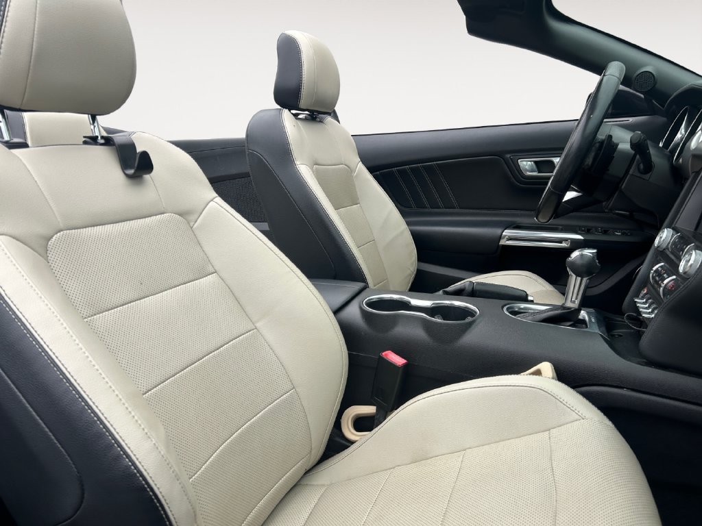 Used 2019 Ford Mustang Premium RWD image 15