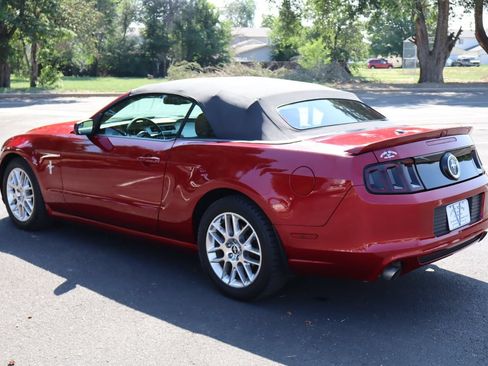 Used 2014 Ford Mustang Premium w/ Equipment Group 202A RWD image 8