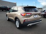 Used 2020 Ford Escape SE image 3