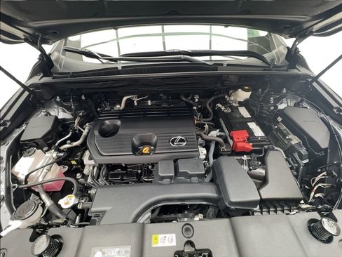 Used 2025 Lexus NX 250 FWD w/ Cold Area Package image 17