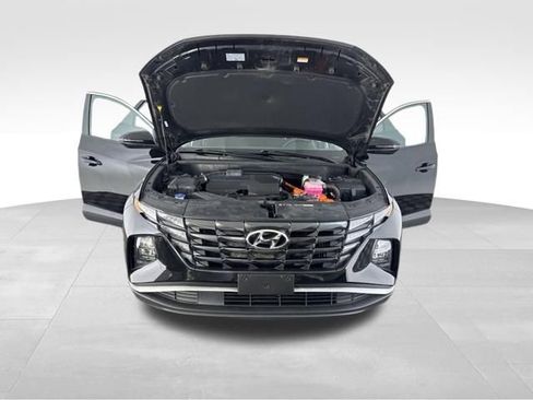 Used 2023 Hyundai Tucson Blue AWD/4WD image 12