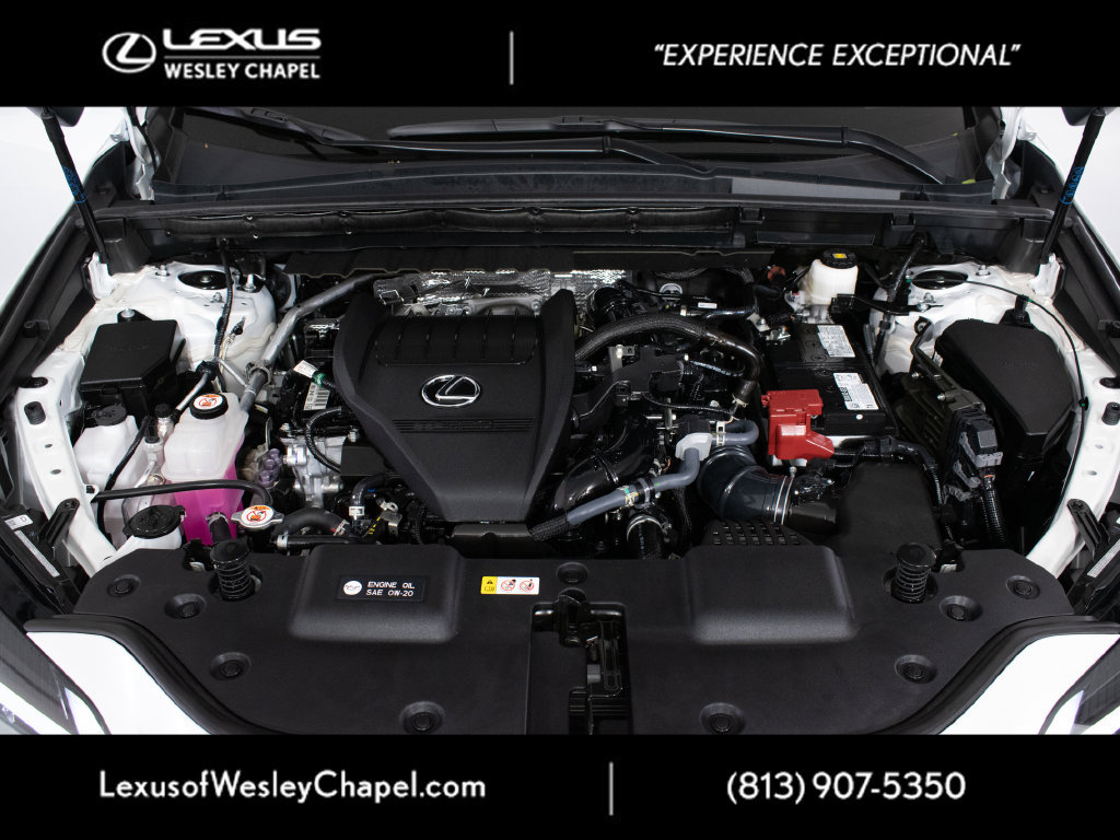 Certified 2024 Lexus NX 350 AWD image 10
