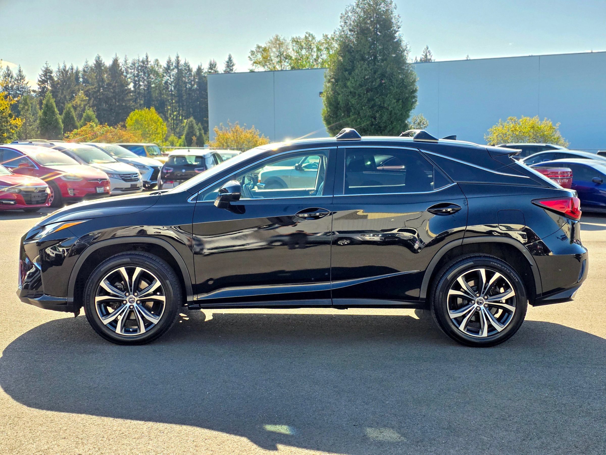 Used 2016 Lexus RX 350 AWD w/ Premium Package image 4