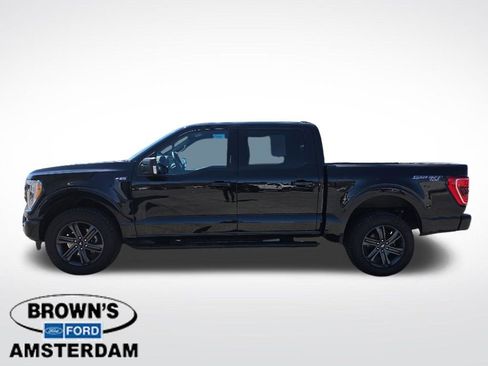 Used 2023 Ford F150 XLT w/ Equipment Group 302A High AWD/4WD image 6