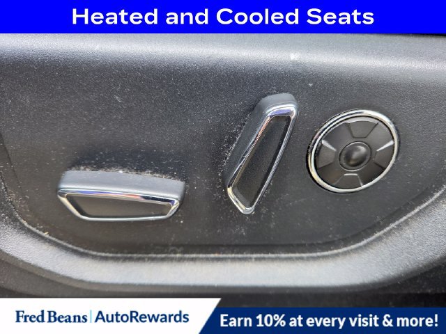 Used 2019 Ford F250 Platinum AWD/4WD image 3