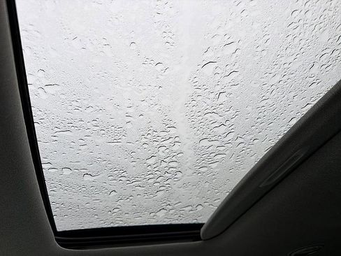 New 2026 Hyundai Palisade Limited image 10